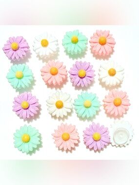 16 Flower Resin Croc Charms Jibbit Shoe Charm Disney Croc Charms